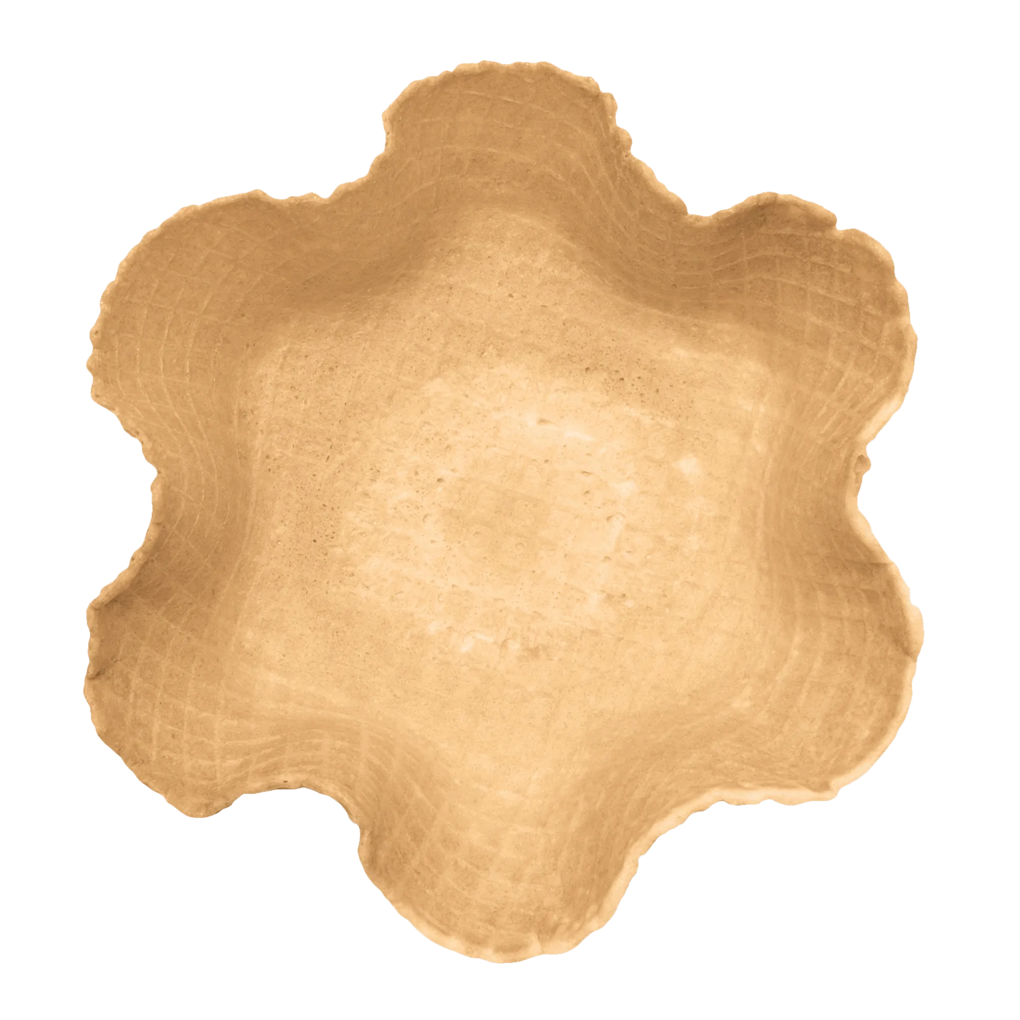 CONCHIGLIA