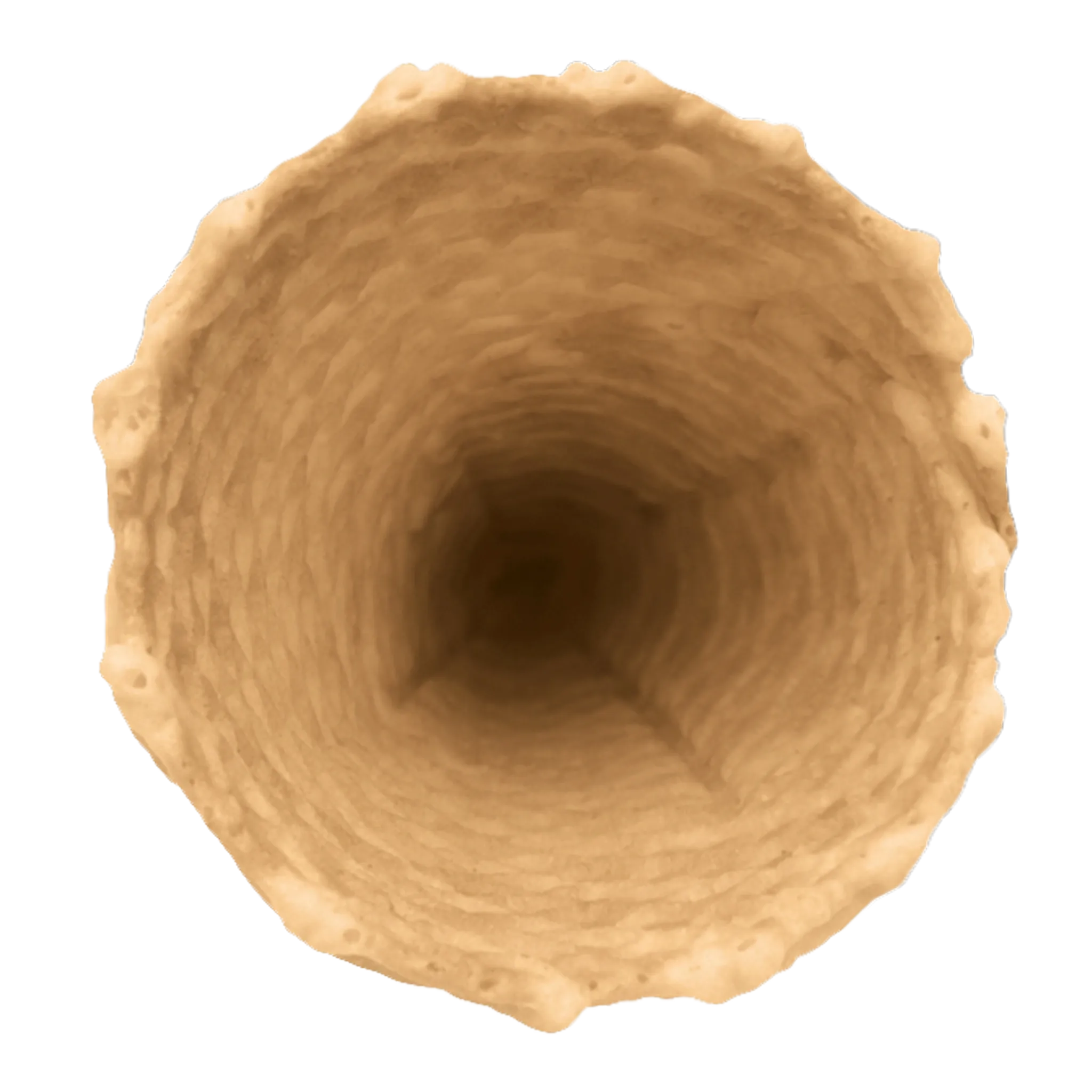 FK