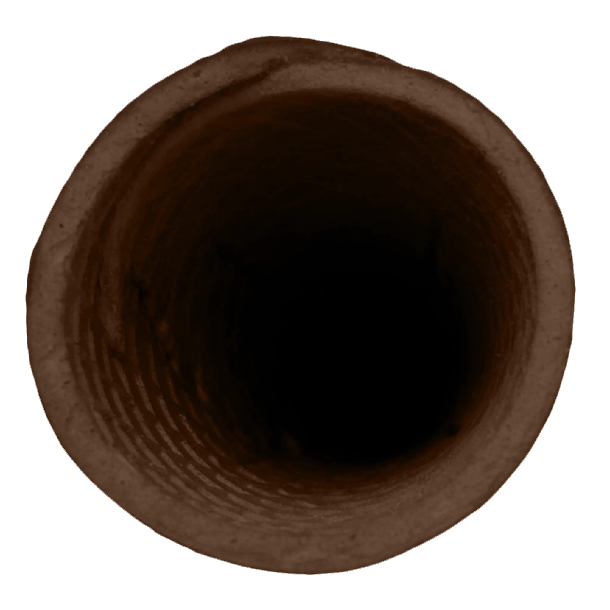 OP 5 CACAO